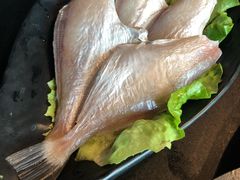 精品大耗儿鱼-莽子老火锅(大坪店)