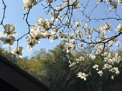 -穹窿山景区