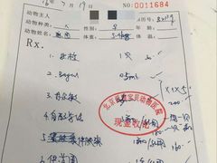 -中农大我爱我爱24h动物医院·中医针灸·猫专科·骨科医疗中心(双井店)