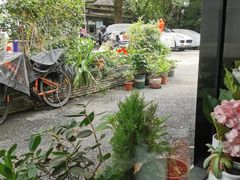 -家烧面馆【南山路知名经典面食】