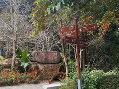 -广州市流溪河国家森林公园
