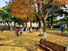 -苏州大学(天赐庄校区)