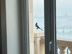 -星海湾跨海大桥