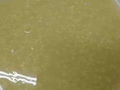 -金城包子牛肉灌汤包(台东四路店)