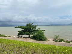 -深圳湾公园(南山区)