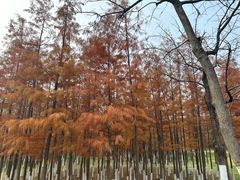 -滨湖塘西河公园