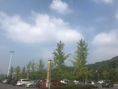 -陕西省红河谷森林公园