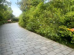 -峙山公园