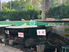 -王婆炒鱼(总店)