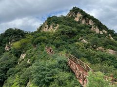 -大岭沟猕猴桃谷风景区
