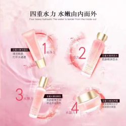 -凡碧诗毛孔收细