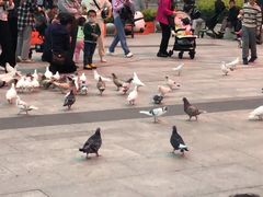 -KKV(深圳宏发大仟里店)