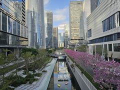 -深圳湾万象城(南山店)