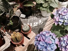 -植物学家的女儿(北马道巷店)