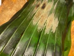 -雀舞云南菜(天津天河城购物中心店)