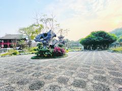 -顺峰山公园