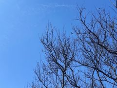 -巍山古城-拱辰楼