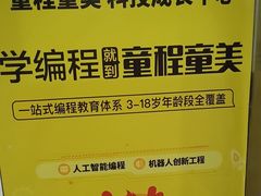 -童程童美·信息学竞赛·机器人编程·少儿编程(大钟寺校区)