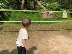 -自然谷恐龙园