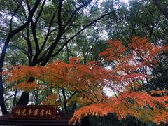 -杭州半山国家森林公园