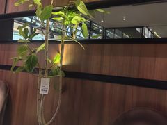 -西堤牛排(南京龙江店)