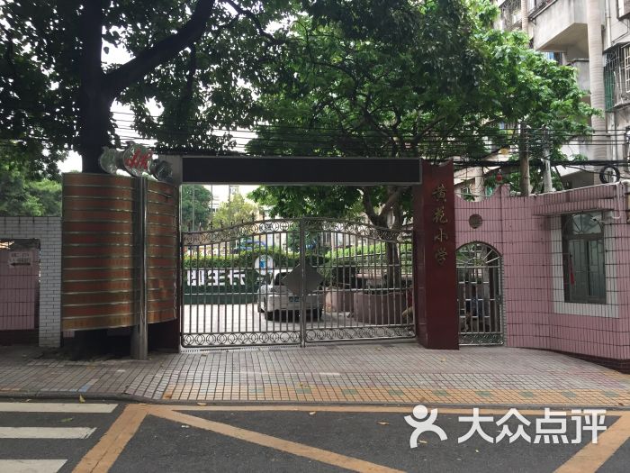 黄花小学图片 第1张