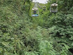 -富斯特索道