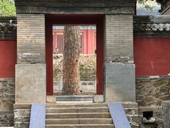 -潭柘寺景区