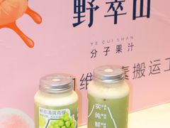 -野萃山·潮汕厚果汁(十亩地店)