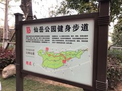 -仙岳公园