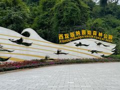 -西双版纳原始森林公园