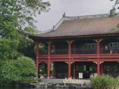 -顺峰山公园