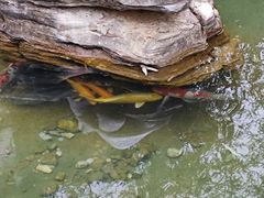 -木兰水镇旅游景区