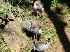-昆明动物园