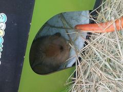 android_upload_pic-万达广场(南京江宁店)