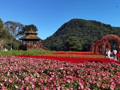 -广州市石门国家森林公园