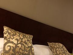 -春兰国宾馆(凤城河风景区老街店)