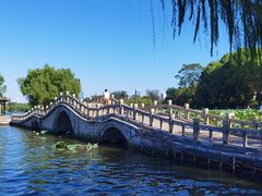-济南大明湖景区