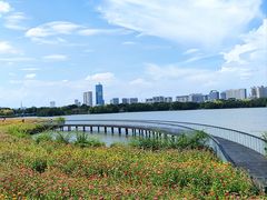 -海珠湖公园