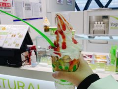-Salud撒露欧洲冻酸奶(北苑上品店)