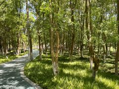 -李公堤
