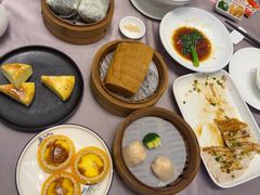 -东方御宴海鲜酒楼(棕泉酒店)