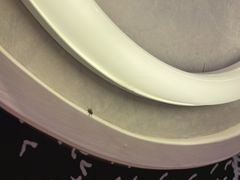 -必胜客(证大大拇指店)