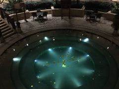 -苏州湾王焰温泉度假酒店