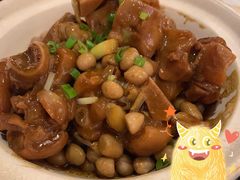 花生猪手煲-高第街56号餐厅(凯德mall新都心店)