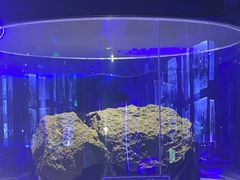 -吉林市博物馆