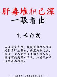 点击看大图 -玛莲朵·海菲秀冰珀科