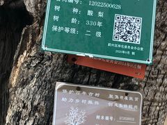 -吉姆冒险世界(蓟州店)