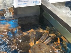-盒马鲜生(大成店)