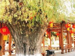 -东北大学(南湖校区)